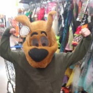 Meet your Posher, Dean